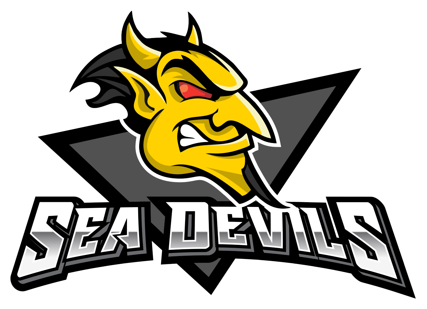 Sea Devils de La Rochelle