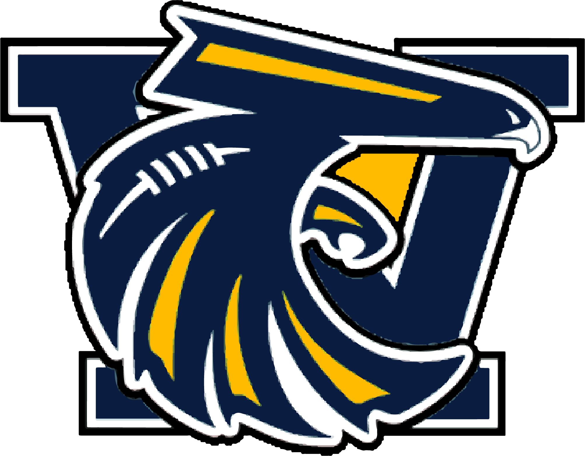 War Eagles de Teyran